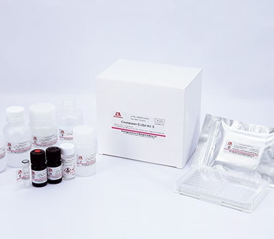 kit-elisa-kiem-tra-protein-di-ung-giap-xac